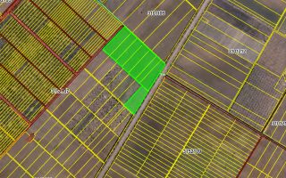 4,85 HA CU DESCHIDERE DE 300 M LA TRASEU | CRIULENI – SLOBOZIA-DUȘCA - Poză 7