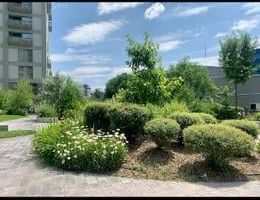 2 camere Aviației Park - Poză 16