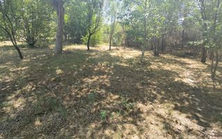 Spatiu industrial zona Sud-Arad - Poză 27