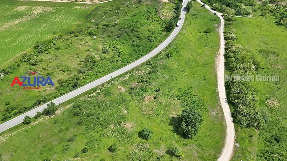 AZURA Imobiliare - Teren Topoloveni Bamesa Autostrada - Poză 9