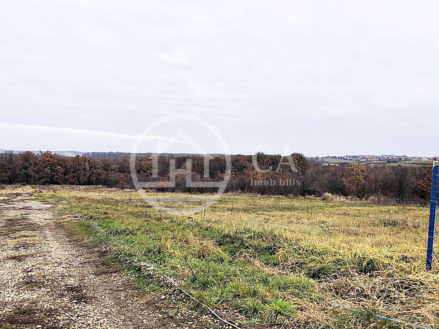 Teren intravilan de vânzare in Saldabagiu de Munte, Oradea - Poză 4