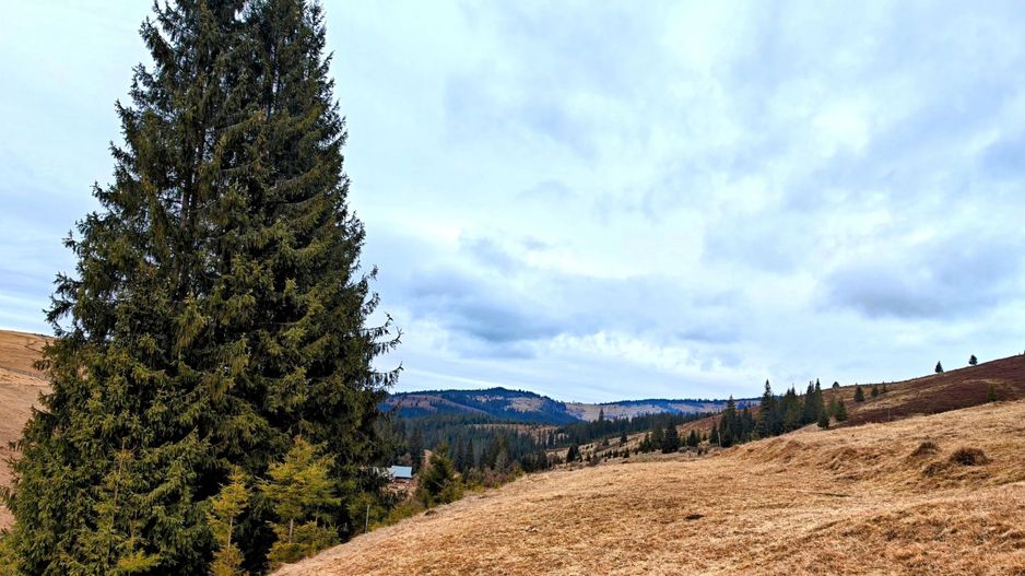 Teren 9511 mp + casa, intravilan, în Beliș Munții Apuseni, Cluj - Poză 1