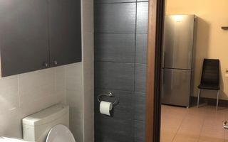 Apartament 1 camera ~ 40mp zona Piața Mărăști - Poză 7