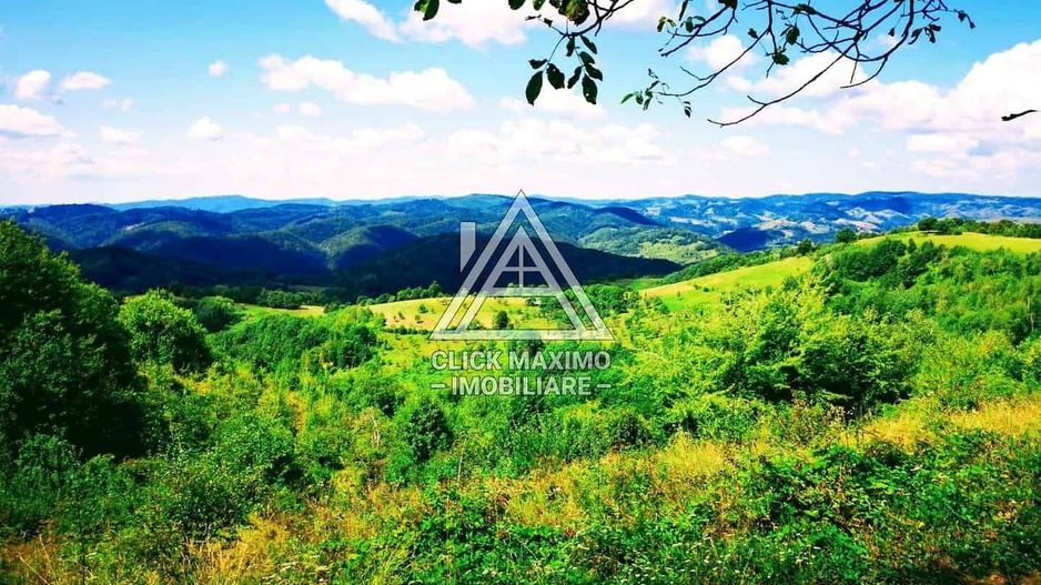 CASĂ și TEREN 85.000 mp – Casa părintească Părintele Arsenie Boca - Poză 7