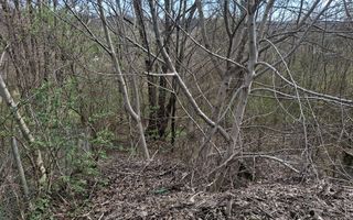 Teren de vanzare Cornu de Jos - Poză 2