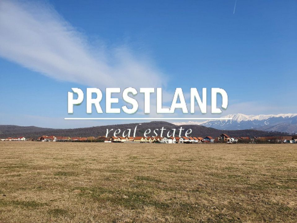 Teren extravilan-5.000 mp-Sura Mică. - Poză 2