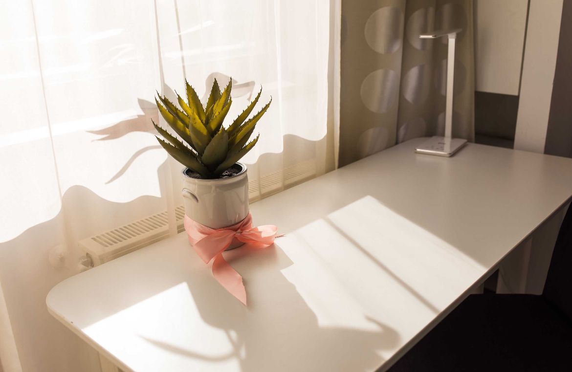 AP. 2 CAMERE NORTHLANE, DOG-FRIENDLY, BLOC NOU, MASINA SPALAT VASE - Poză 5