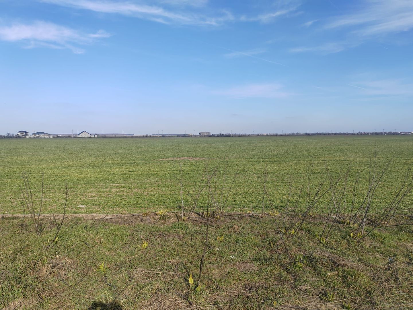 Cernica Tanganu super pret rezidential sau depozitare - Poză 5