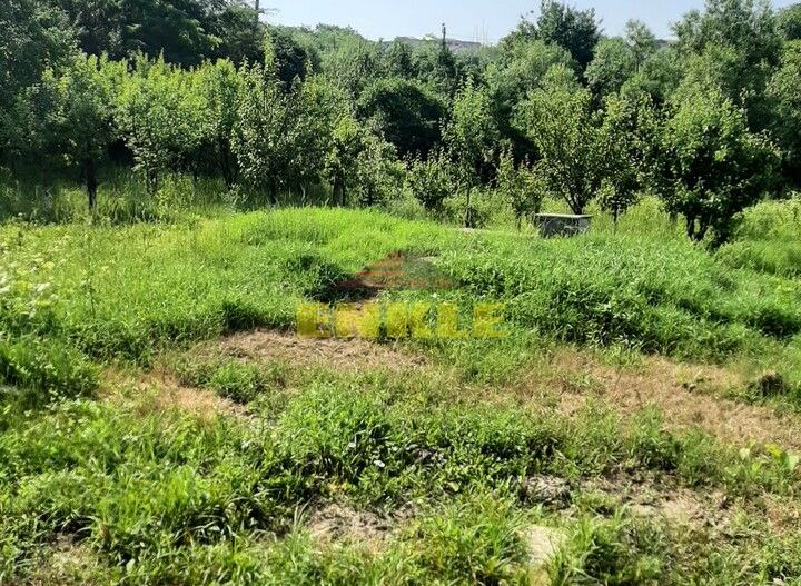 Casa 3 camere + dependinte (bucatarie de vara/magazie) + teren 1400 mp, Str.Zimbrului - Poză 1