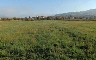 Teren intravilan de vânzare – suprafață totală 3.800 mp GUSTERIRA - Poză 1