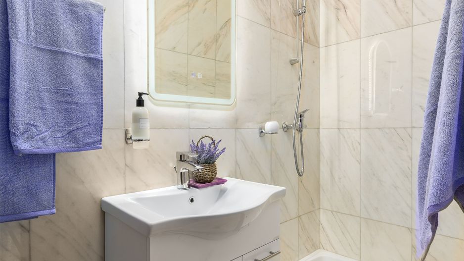 Vila Superba 360 mp - LOT 510 mp - Parcul Circului - Lacul Tei - Poză 25