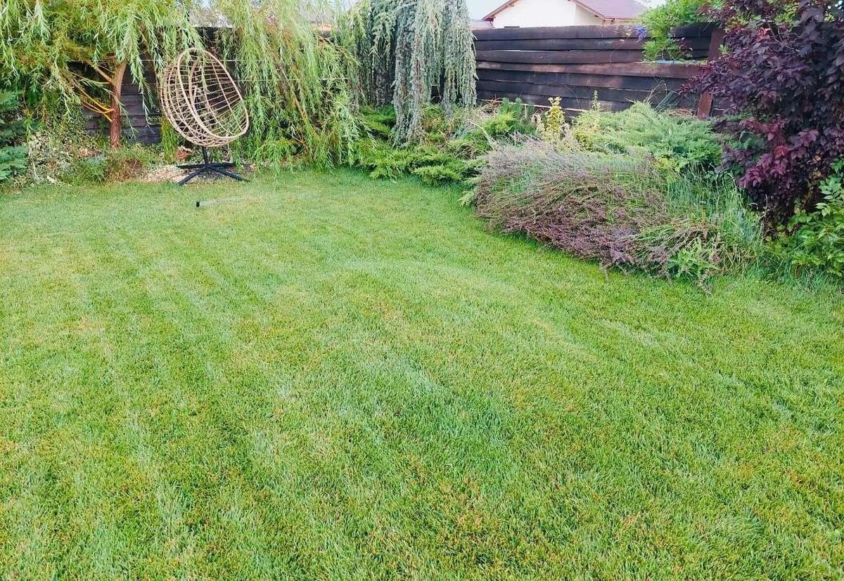 Vila vanzare| Balotesti| duplex P+1 deosebit |complet renovata in 2025 - Poză 14