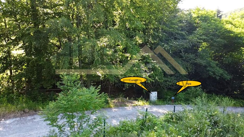 Oportunitate Investitie Teren Dambu Morii | Necesar PUD | Utilitati | 4.800mp - Poză 6