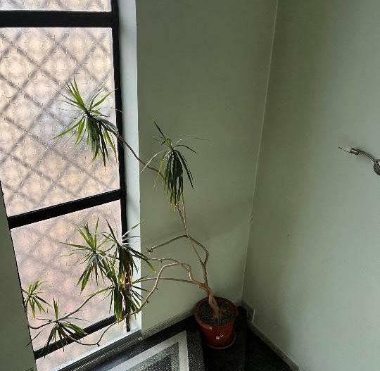 Casa/Vila Marriott/Parlament - Poză 13