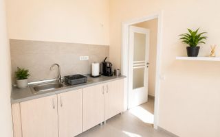 Birouri cu personalitate, curte proprie și parcare – Piața Cipariu - Poză 6