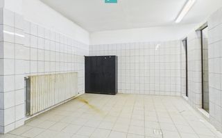 Hale 1800 mp fiecare – acces autostradă, Teiu, HD - Poză 15