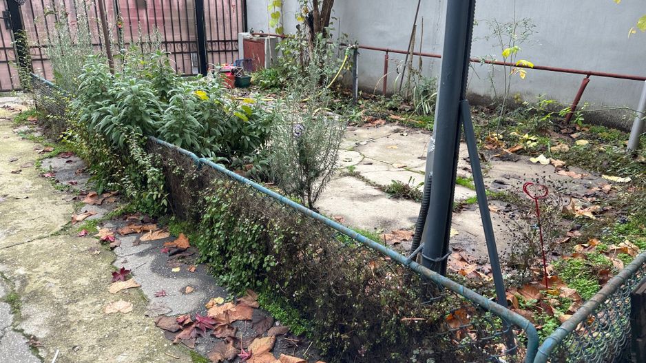 Inchiriere Casa-curte- 1Mai zona Expozitiei - Poză 9