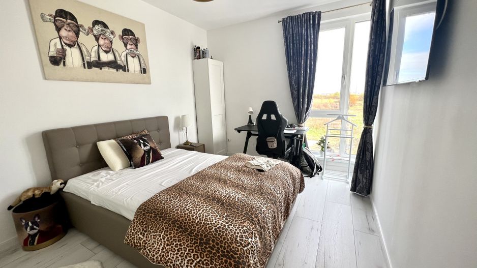 PROIECT DEOSEBIT - Poză 5