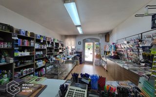 Spatiu Comercial, oras Lipova - Poză 2