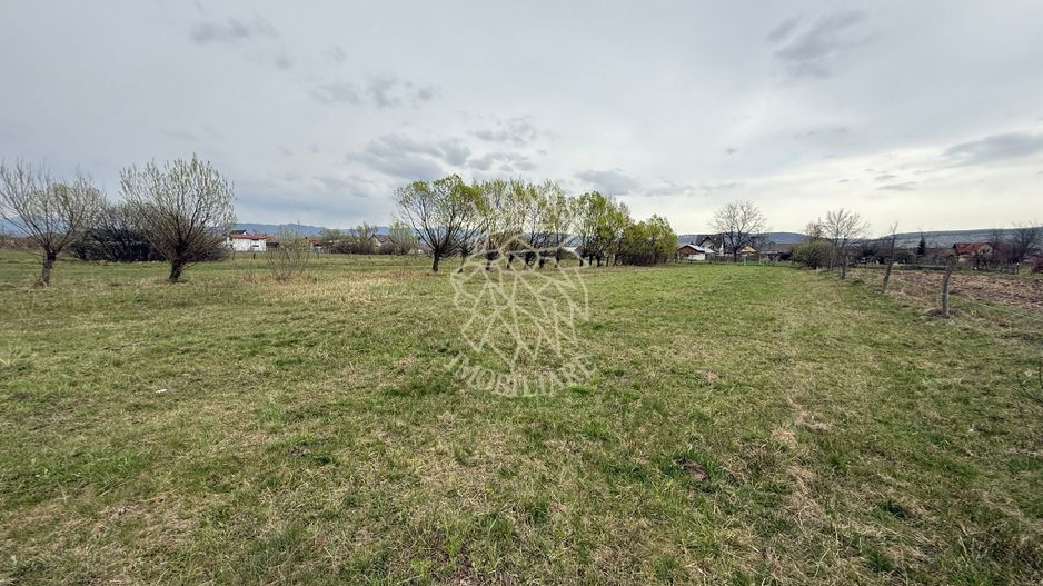 Teren intravilan 2166 mp-Parcelabil-utilitati-Livezile, Zona Rit - Poză 1