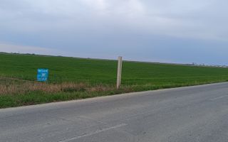 Teren extravilan 5 hectare ( zonă industrială ) Șag - Poză 13