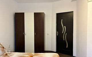 Studio / Tractorul / Pet- Friendly / Curte - Poză 3