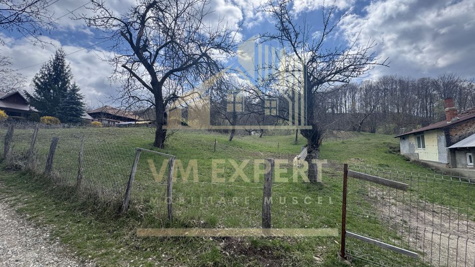 TEREN INTRAVILAN 4365 MP POENARII DE MUȘCEL  JUDEȚUL ARGES - Poză 18