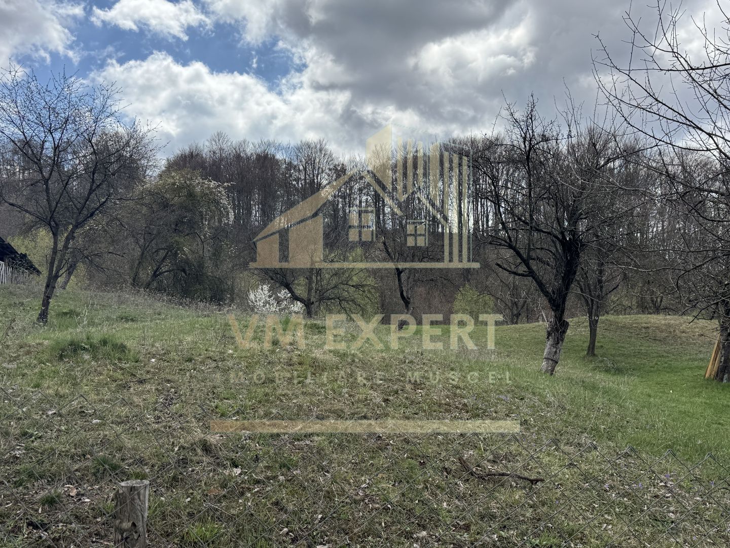 TEREN INTRAVILAN 4365 MP POENARII DE MUȘCEL  JUDEȚUL ARGES - Poză 25