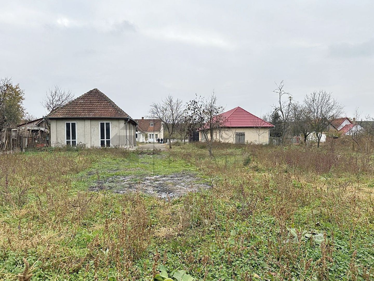 Casa cu 3 Hale si teren 8000 mp in Ulileacu de Cris, Bihor - Poză 14