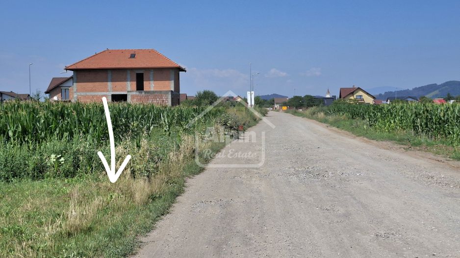 Teren Pretabil Investitie Harman - Poză 5