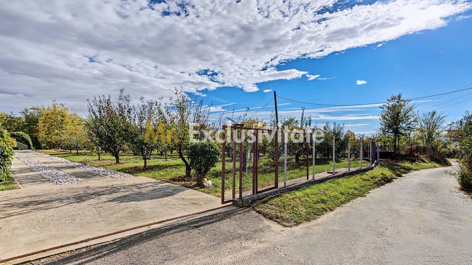 Casa individuala + teren 2.014 mp + livada Mioveni -Colibasi - Poză 12