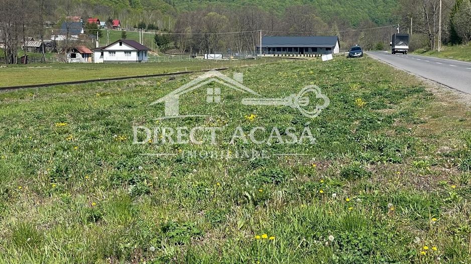 Teren intravilan 8900 mp-Sacadat-Sovata - Poză 1