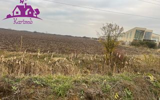 Teren pentru hale soseaua Nojorid Les - Poză 5