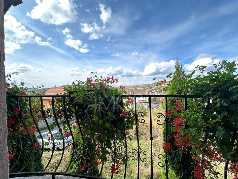 Casa individuala de vanzare - Sura Mare - Poză 9