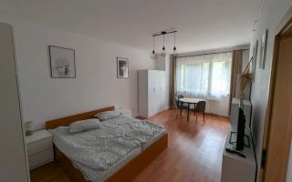 Apartament de închiriat cu 1 cameră în zona Parcul Feroviar și Gară - Poză 1