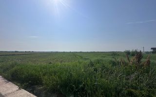 VÂNZARE TEREN MATRACA - Poză 3