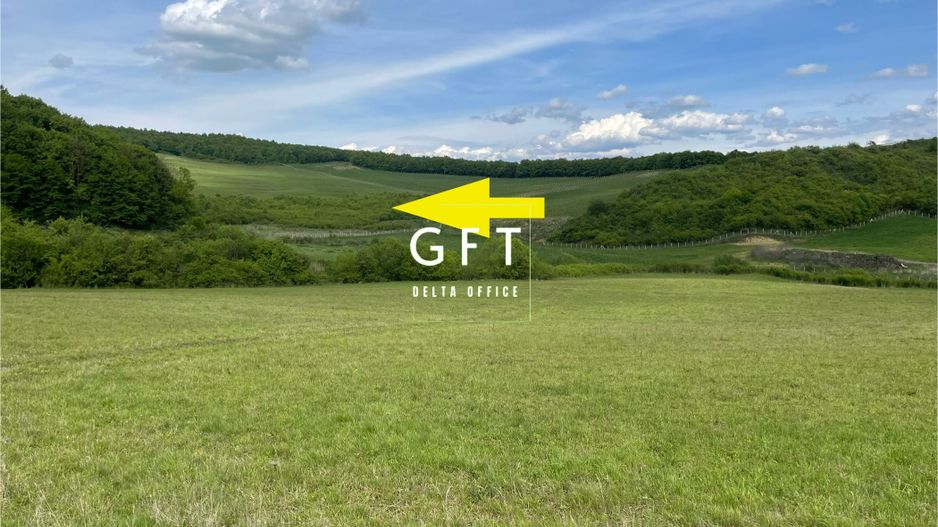 Teren extravilan 10000 mp, Jelna. - Poză 2