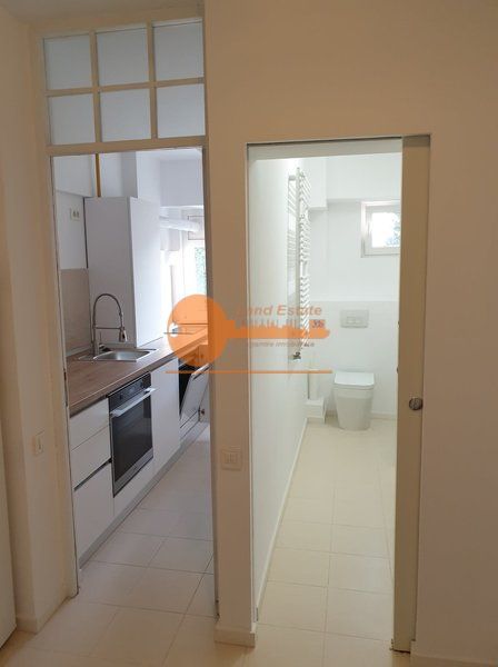 Studio Modern cu Vedere la lacul Herastrau - Poză 6