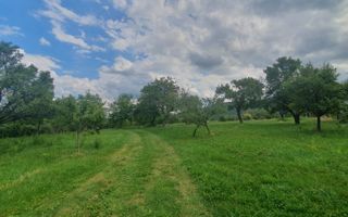 Teren de vanzare in Sibiel . - Poză 1