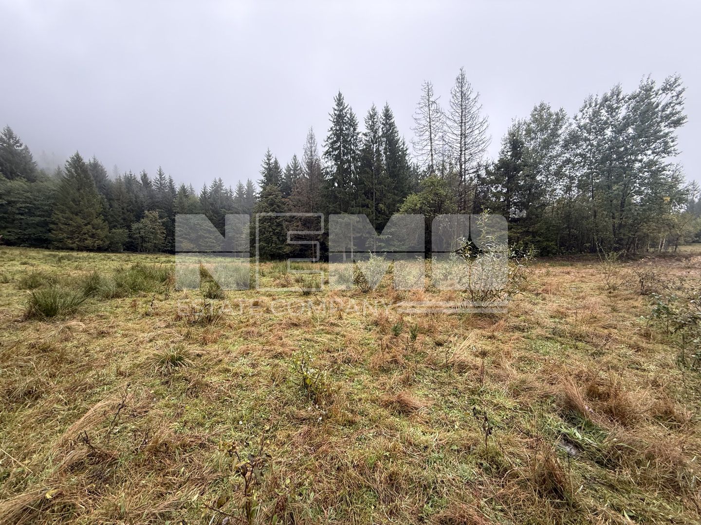 Teren Extravilan | 6.100 mp | Brodina | 41.500 € negociabil - Poză 3