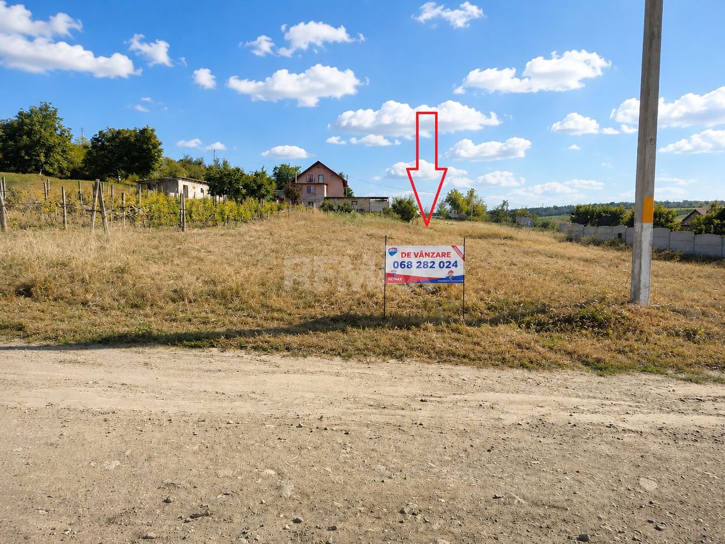 Teren pentru Construcție – 12 Ari în Țînțăreni, Anenii Noi - Poză 4