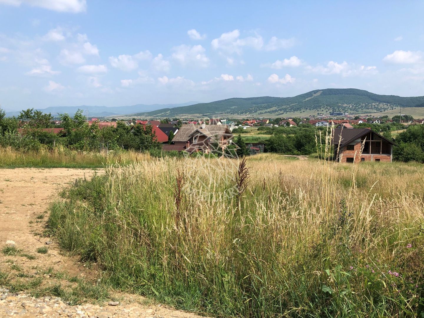 Teren intravilan 1800 mp-parcelabil-panoramic-Unirea - Poză 3