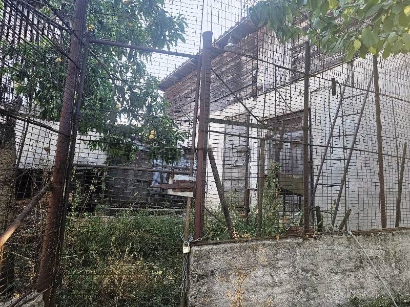 Teren de vanzare str.Colinelor cu casa demolabila - Poză 9