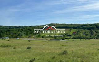 NECTORA IMOB-Teren Intravilan Baile Felix-Usa Oil, 8603 mp, Iesire DN - Poză 3