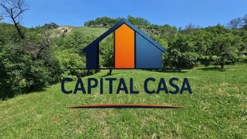 Teren de Vanzare in Plopu - Darmanesti, cu plata in rate - Poză 5