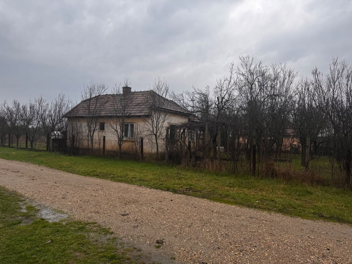 Vând proprietate deosebită, 8 km de Satu Mare – Apateu - Poză 1