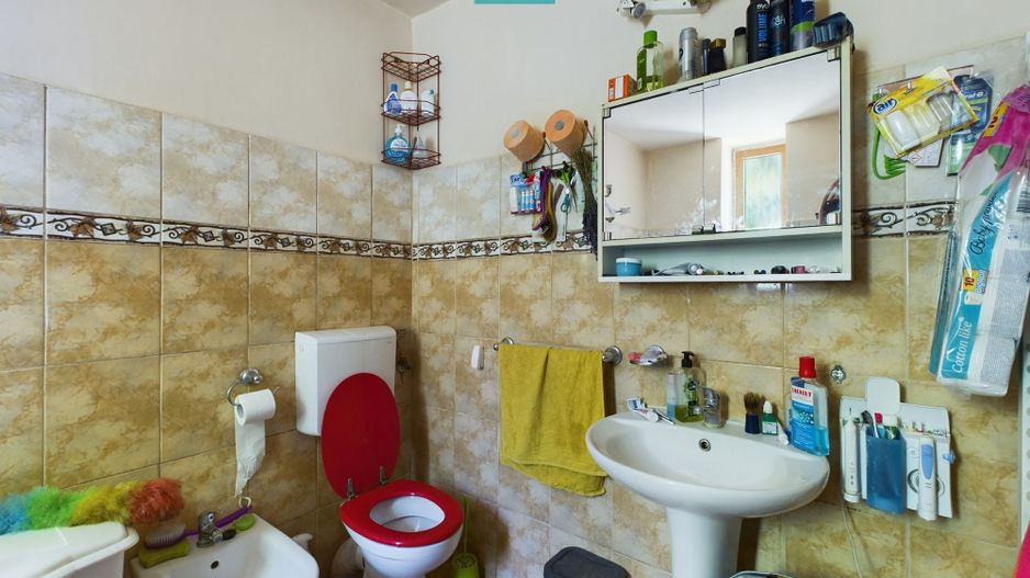 Casă cu livadă de pomi în Dorobanți - Poză 12