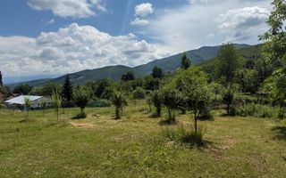 Teren Intravilan 650 mp de Vanzare in Tocile - Poză 3