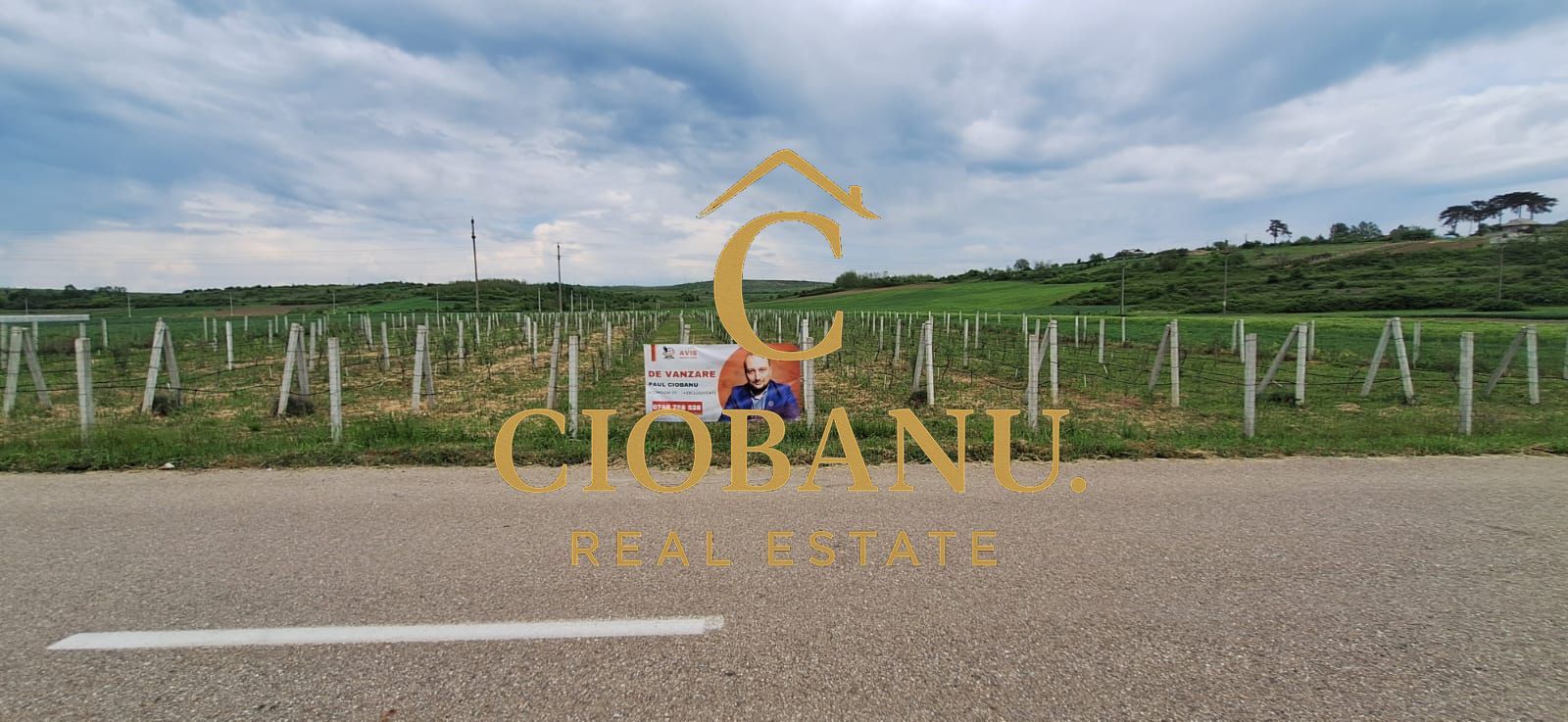 Teren intravilan cu PLANTATIE DE GOJII de vanzare in Racari - Poză 11