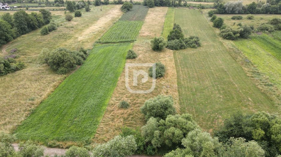 Teren Malini 3600mp | Suceava | Bucovina - Poză 1